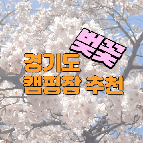 경기도 벚꽃 캠핑장